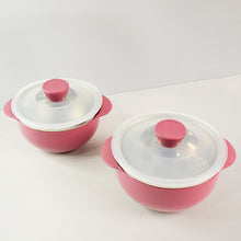 Apex Premium Plastic Serving Bowl Set With Lids (2 Pc)